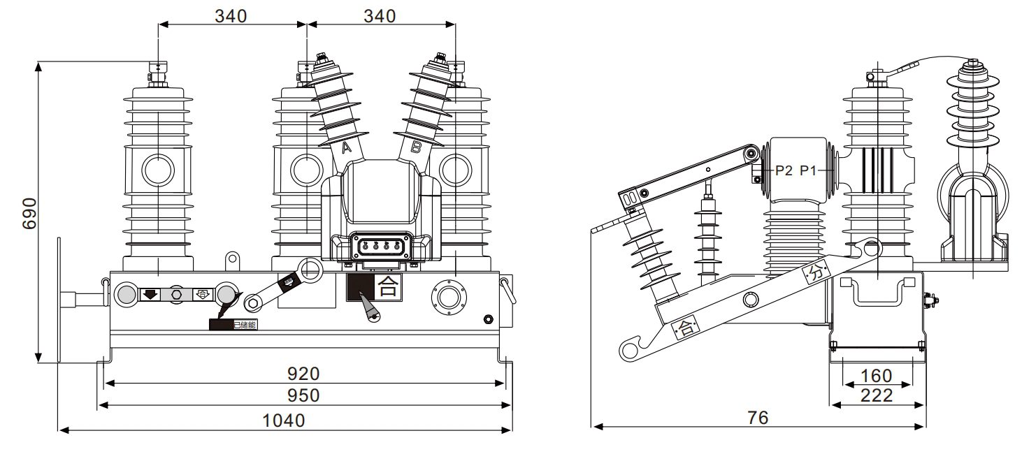 Outdoor Circuit Breaker ZW32G-12插图3